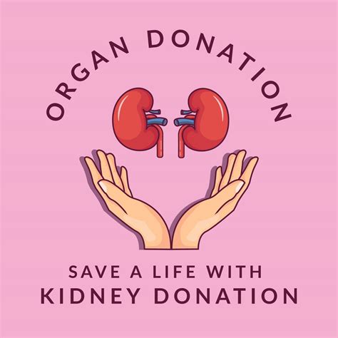Organ Donation Kidney Donation Donate Your Kidney To Save A Life