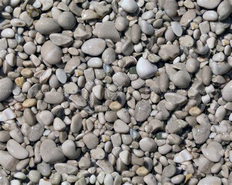 Wet pebbles stone texture seamless 12466