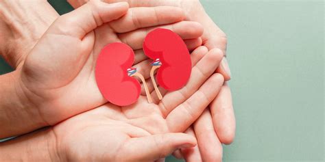 Expanding Kidney Transplantation The Need To Improve Organ