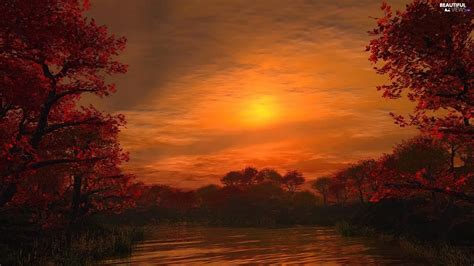 Great Sunsets Viewes Autumn Trees Beautiful Views Wallpapers 1600x900