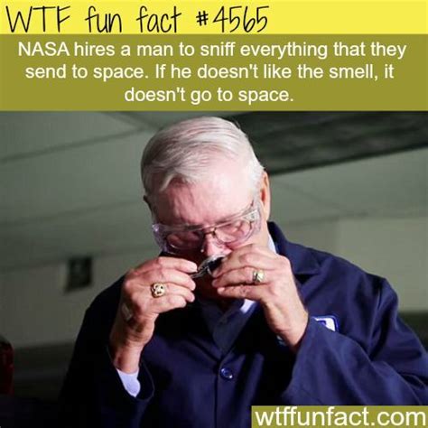 True Facts That Are Very Difficult To Believe Wtf Fun Facts Fun