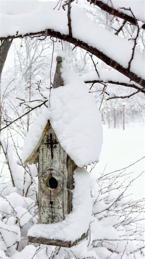 Bird House In Winter Favorite Photoz
