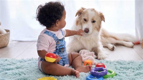 Best Pets For Kids And How To Choose Them