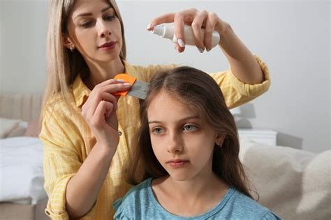 Home Remedies For Lice 4 Natural Products To Use Tua Saúde
