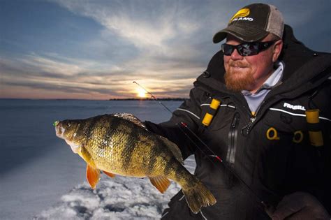 Yellow perch feed year round, which makes them a great fish for ice fishing. Ask the Pros: What is the Best Line for Panfish Through ...