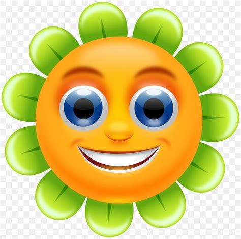 Smiley Flower Clip Art Png 2400x2380px Smiley Cartoon Close Up