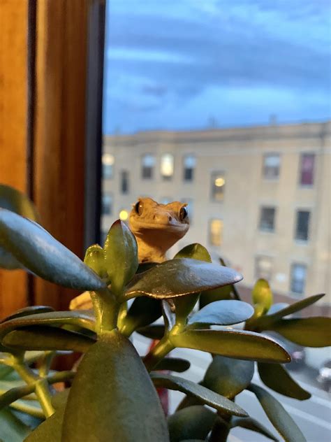 Just living the good life | Scrolller