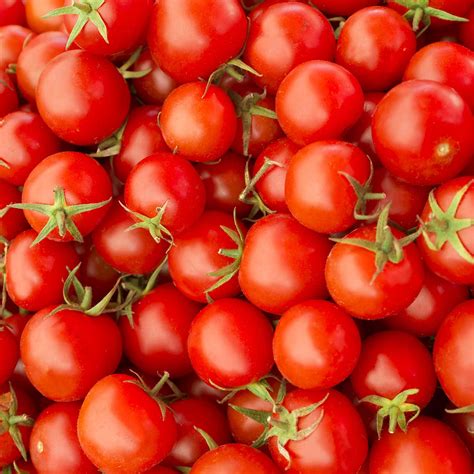 Fresh Tomato Day April 6 2023 National Today