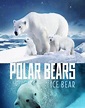 Ver Película The Polar Bears: Ice Bear (2013) En Español Latino Gratis ...