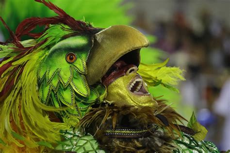 Бразильский карнавал 2014 часть 2 55 фото