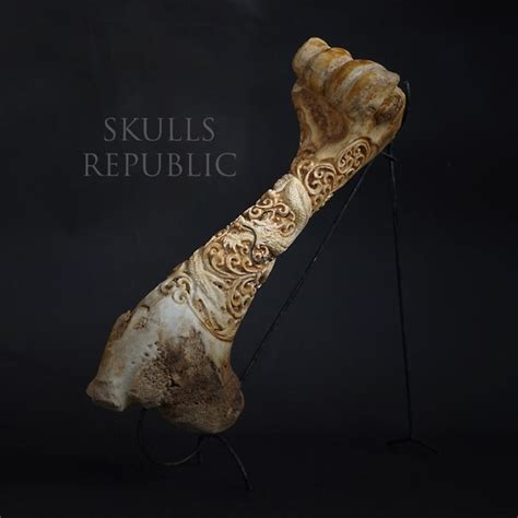 Amazing Animal Bone Carving Carved Buffalo Bone Craft Real