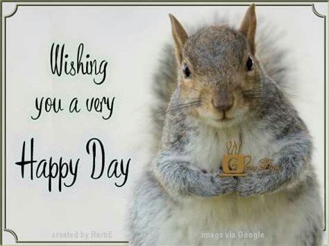 Wishing You A Very Happy Day Pictures Photos And Images For Facebook