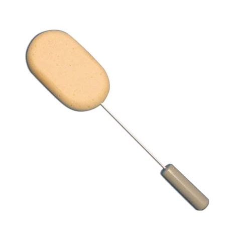 Long Handled Sponge Your Mobility
