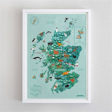 Wildlife Map Of Scotland Print By Kate Mclelland Shop Illustrated Map