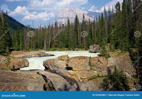 The Kicking Horse River With Mt Stephen In The Background Yoho