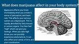 Photos of What Does Marijuana Effect On The Body