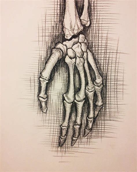 Anatomy Study Skeleton Hand By Richardblumenstein On Deviantart Arte