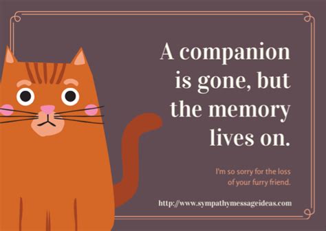 Losing someone we love is the hardest thing we'll ever face, and for most pet lovers, losing a pet is no different. Pet Condolence Messages - Sympathy Card Messages