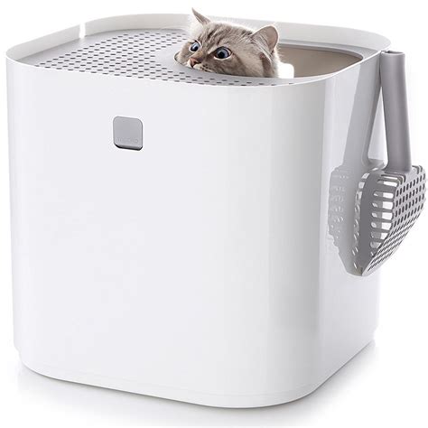 Pros And Cons Of Using A Top Entry Litter Box Cool Stuff