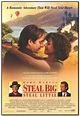 Steal Big Steal Little 1995 Original Rolled 27x40 Movie - Etsy