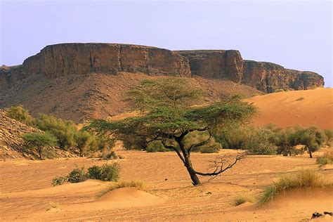 Precolonial Mauritania - Wikipedia