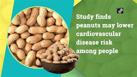 Study Finds Peanuts May Lower Cardiovascular Disease Risk Among People