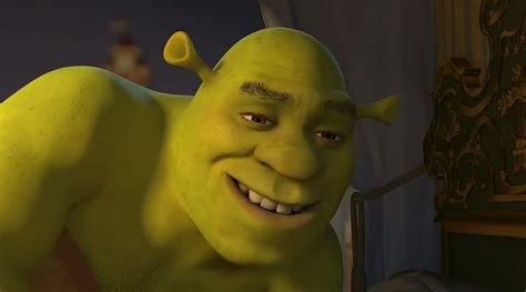 Shrek Your Privilege Cishrek Shrek Shrek Memes Funny