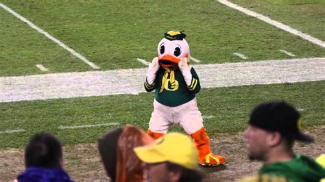 Oregon Ducks Mascot Puddles Dancing Youtube