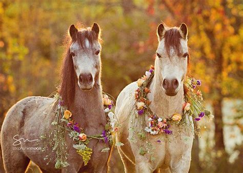 Two Brown Horses With Flowers On Their Heads Standing Next To Each