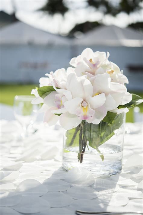 Low Orchid Centerpiece Wedding Flowers Orchid Centerpieces Wedding Centerpieces