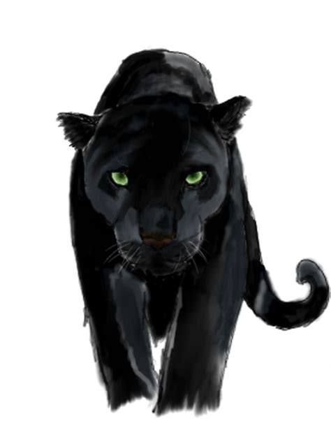 Panther Png 10 Free Cliparts Download Images On Clipground 2023