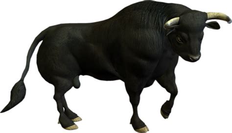 Charging Bull Cattle Clip Art Bull Png Transparent Images Png