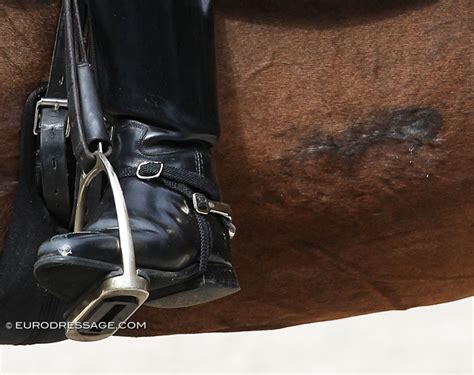 When choosing a spur, there are many to choose from, and it may seem too confusing and unbearable. Functionality in Equitation: Skin Damage from Leg Aids