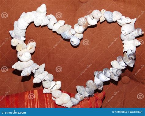 Heart Made From Seashells Stock Image Image Of Small 134923569
