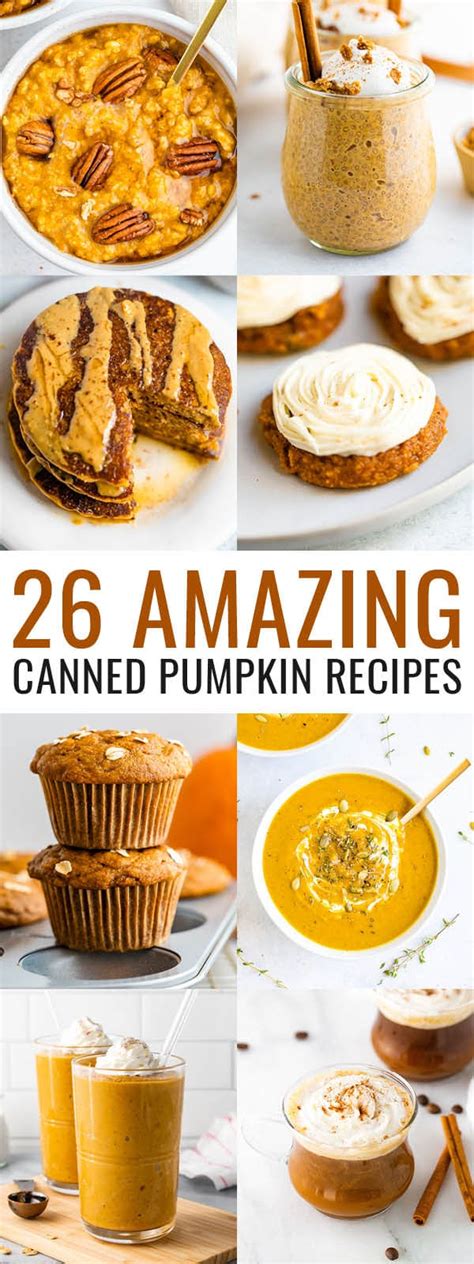 26 Amazing Canned Pumpkin Recipes Eating Bird Food