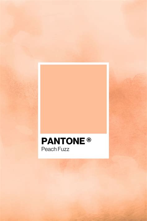 Pantone 13 1023 Peach Fuzz Peach Fuzz Peach Color Palettes Peach Colors