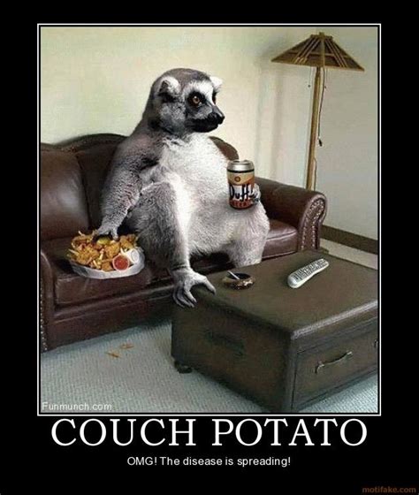 Couch Potato Lemur Humor Work Funny Animal Photos