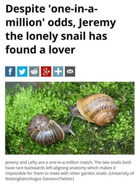 25 Best Memes About Snails Snails Memes