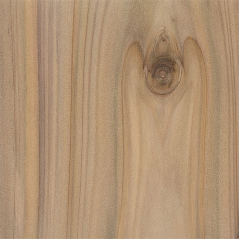 Cypress Wood Texture