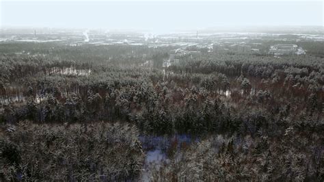 Aerial Close Up Flying Over Frozen Treetops In Snowy Mixed Forest At