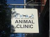 Park Slope Veterinary Clinic Photos