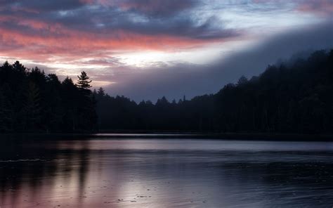 Download Wallpaper 3840x2400 Forest Trees Lake Twilight Dark 4k