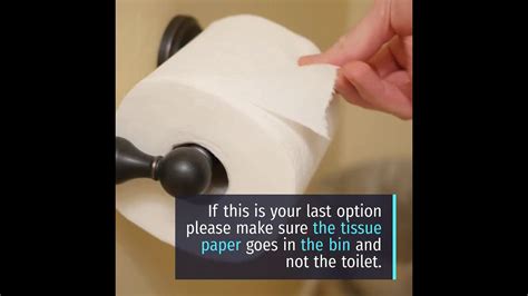 What Can You Flush Down The Loo Youtube