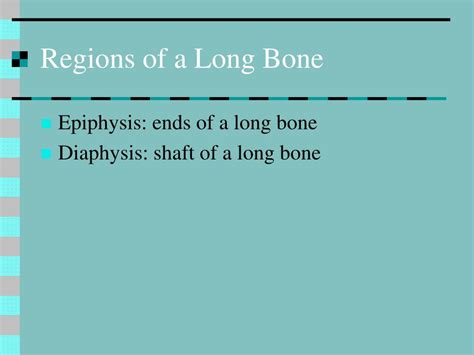 Ppt Bone Structure And Function Powerpoint Presentation Free