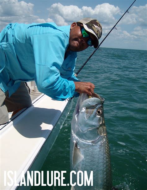 Tarpon Fishing Tampa Bay 6 19 12 Fishing Charters St Pete Beach