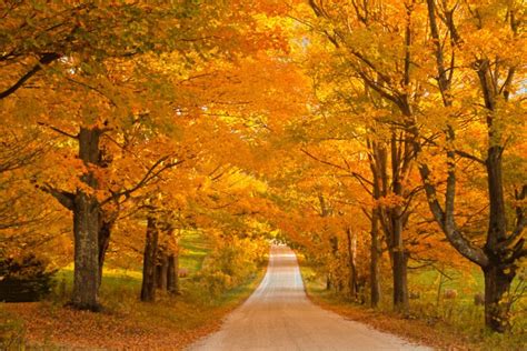 Autumn Gold Photos Of Vermont