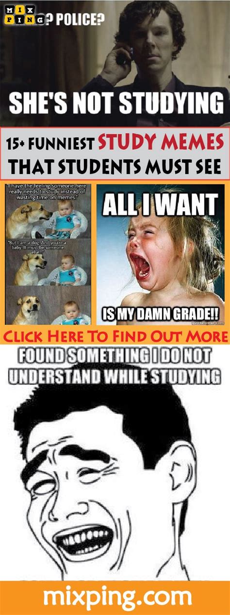 15 Funniest Study Memes That Students Must See Studying Memes Memes