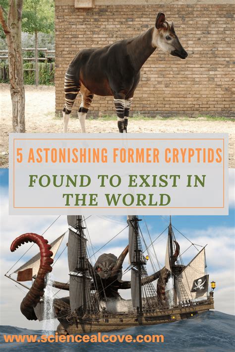5 Astonishing Former Cryptids Found To Exist In The World Middle
