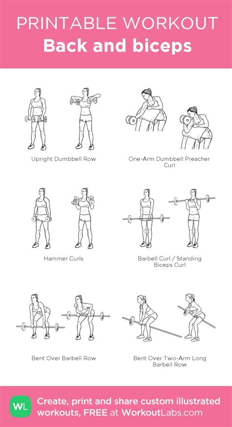 You might be intimidated at the idea of doing barbell exercises like a barbell back squat, especially if you're a beginner. Back and biceps | Back and biceps, Gym workout plan for ...