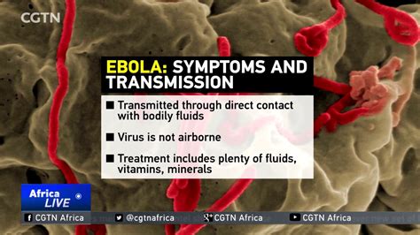 understanding ebola why is the virus so dangerous youtube